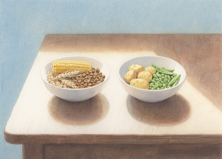 Is Grain-Free Cat Food Actually Better? A Science-Backed Look
